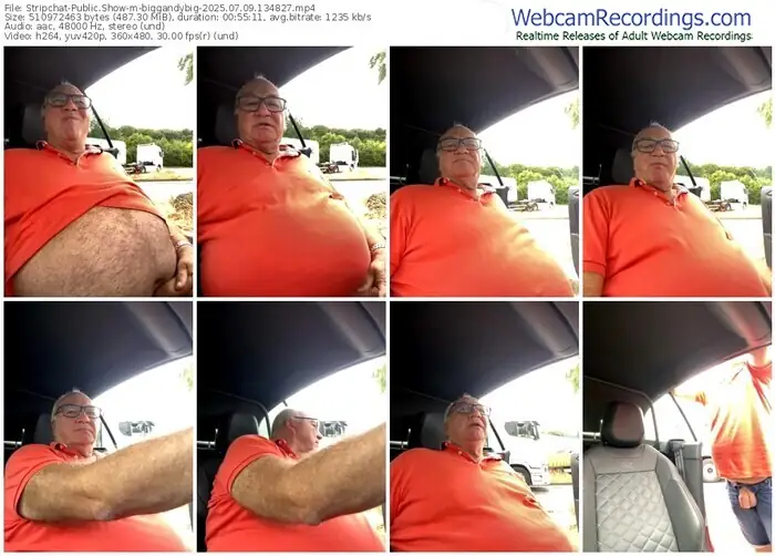 stripchat-biggandybig-07-09-2025-13-48-27