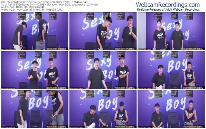 stripchat-perfectboy-88-07-09-2025-13-20-46