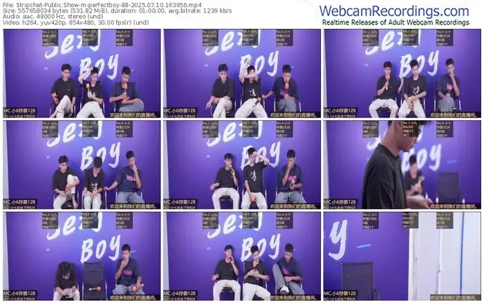 stripchat-perfectboy-88-07-10-2025-16-39-56