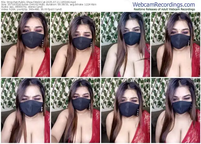 stripchat-bold-cat-07-11-2025-18-53-46