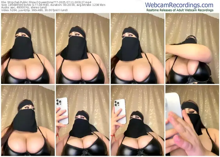 stripchat-queendina777-07-11-2025-00-31-27