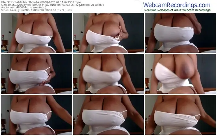 stripchat-katt008-07-11-2025-04-33-53