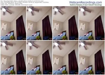 stripchat-amethystfoxx-07-12-2025-02-17-41