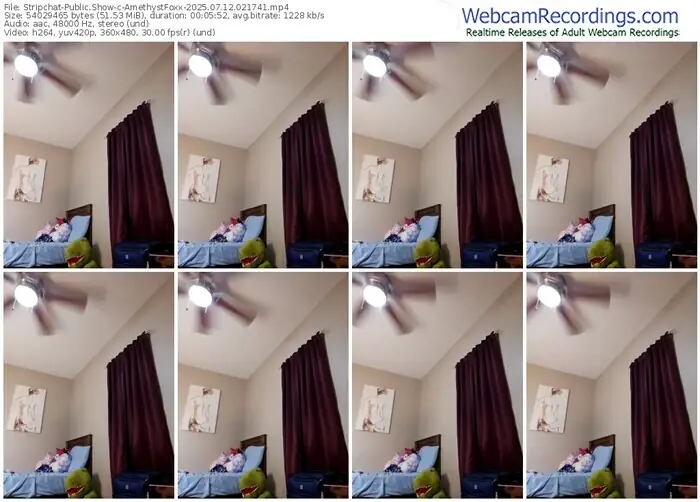 stripchat-amethystfoxx-07-12-2025-02-17-41