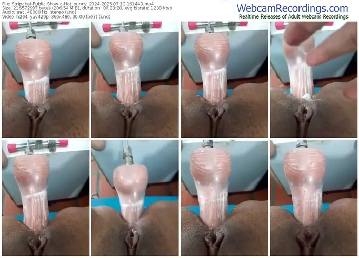 stripchat-hot_bunny_2024-07-12-2025-16-14-49