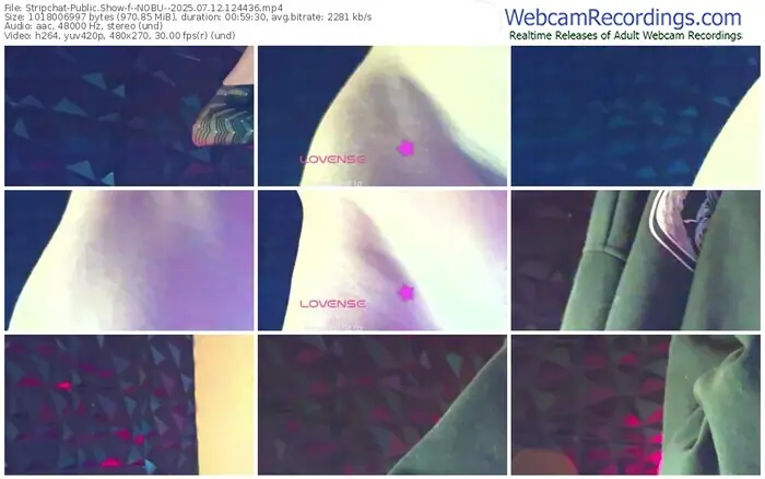 stripchat--nobu--07-12-2025-12-44-36