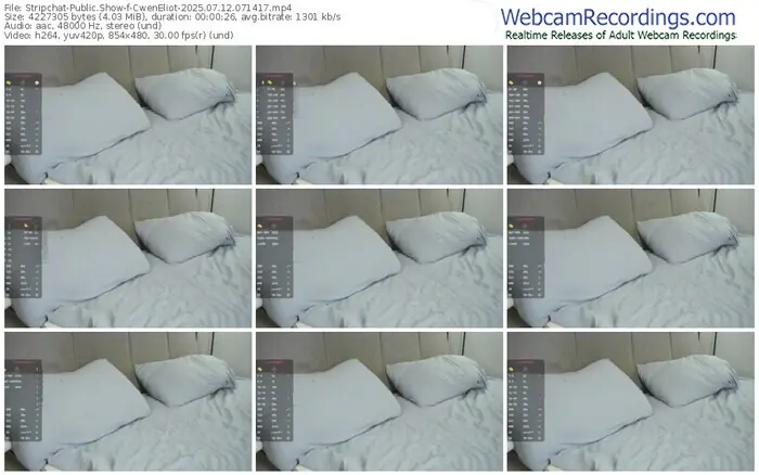 stripchat-cweneliot-07-12-2025-07-14-17