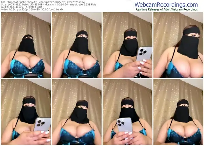 stripchat-queendina777-07-12-2025-22-26-25