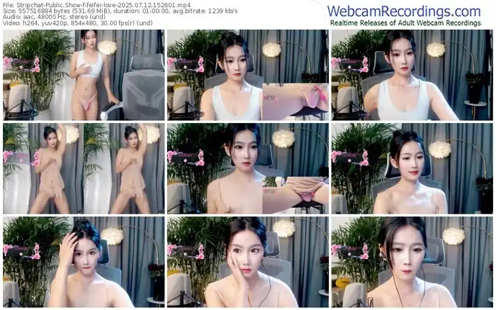 stripchat-feifei-love-07-12-2025-15-26-01