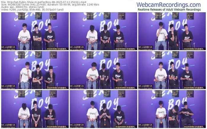 stripchat-perfectboy-88-07-12-2025-15-22-11