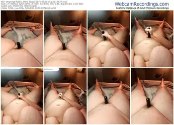 stripchat-bigirl1979-07-13-2025-11-55-27