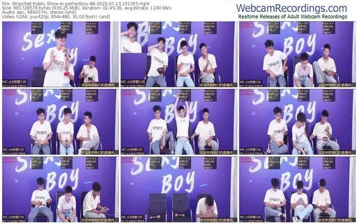 stripchat-perfectboy-88-07-13-2025-15-10-55