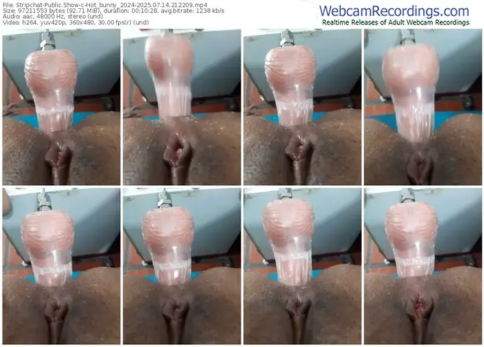 stripchat-hot_bunny_2024-07-14-2025-21-22-09