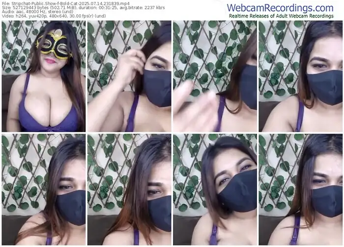 stripchat-bold-cat-07-14-2025-23-18-39