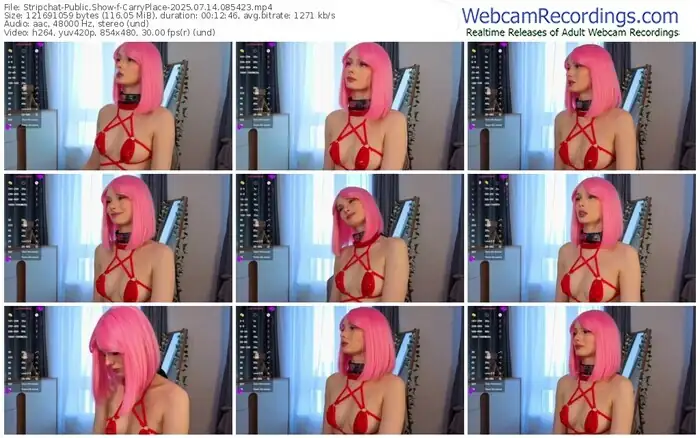 stripchat-carryplace-07-14-2025-08-54-23