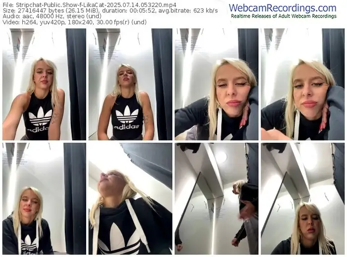 stripchat-likacat-07-14-2025-05-32-20