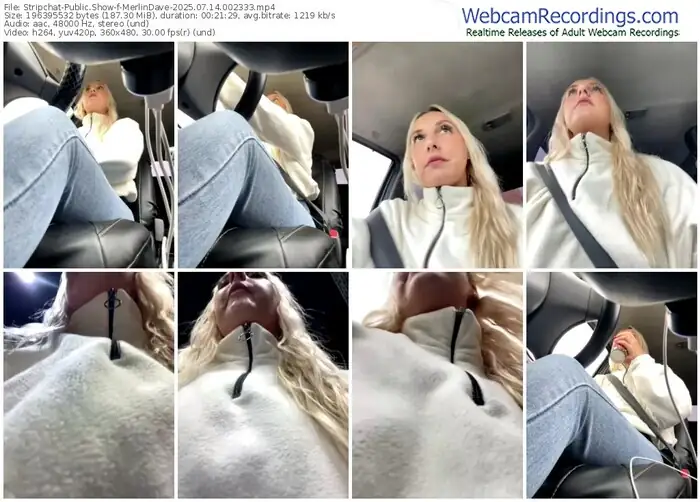 stripchat-merlindave-07-14-2025-00-23-33