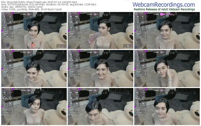 stripchat-vasillisav-07-14-2025-14-22-09