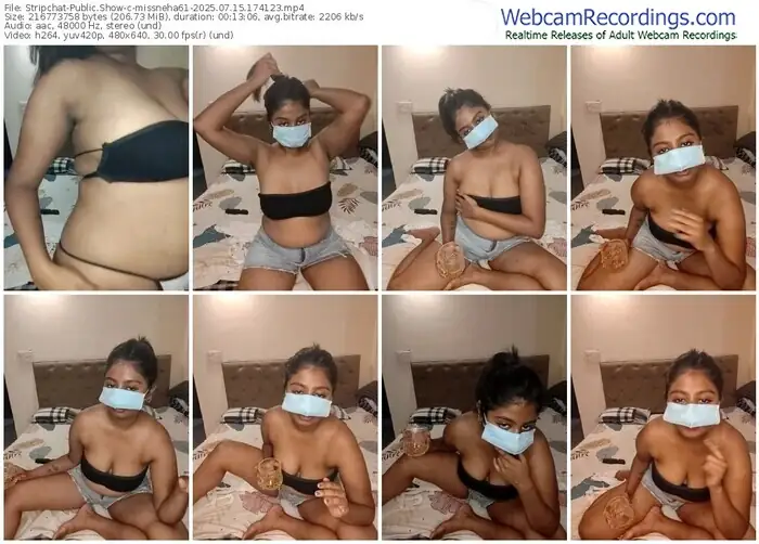stripchat-missneha61-07-15-2025-17-41-23