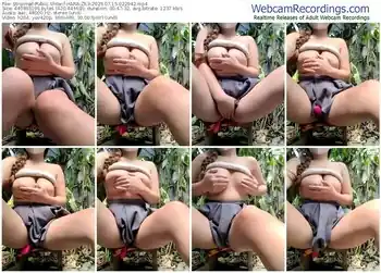 stripchat-hana-zk3-07-15-2025-02-29-42