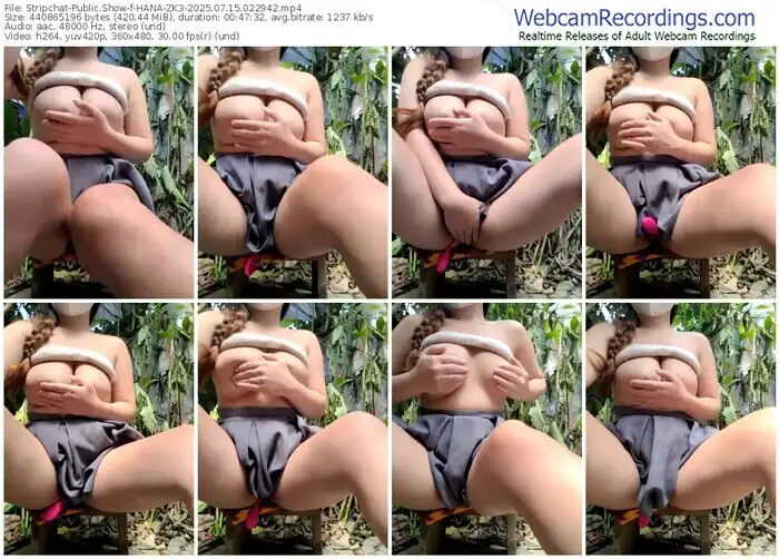 stripchat-hana-zk3-07-15-2025-02-29-42