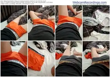 stripchat-rikutorikukuto-07-15-2025-03-15-21