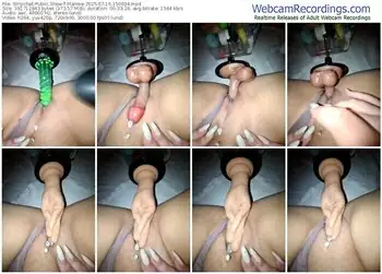 stripchat-iitaniee-07-16-2025-15-00-34