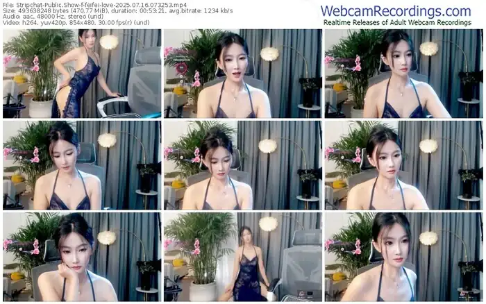 stripchat-feifei-love-07-16-2025-07-32-53