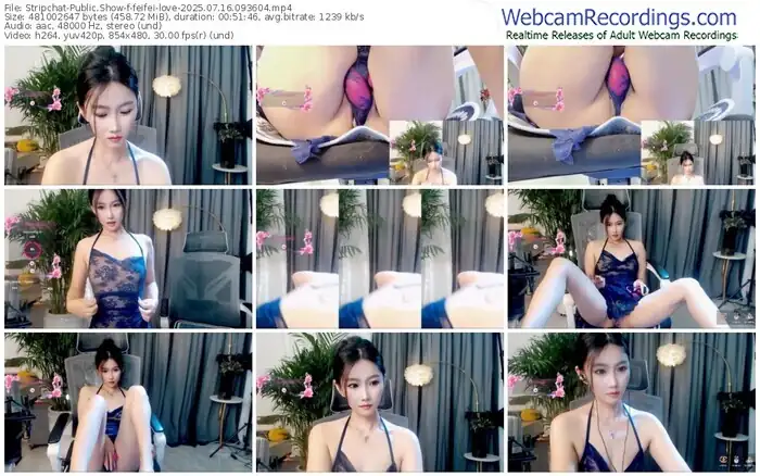 stripchat-feifei-love-07-16-2025-09-36-04