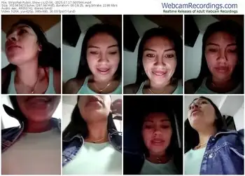 stripchat-liz-06_-07-17-2025-00-05-44