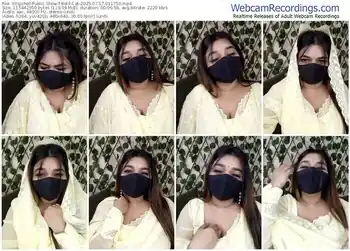 stripchat-bold-cat-07-17-2025-01-17-50