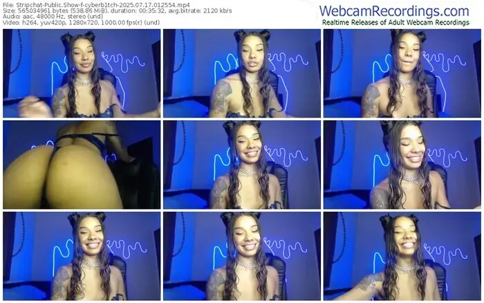 stripchat-cyberb1tch-07-17-2025-01-25-54
