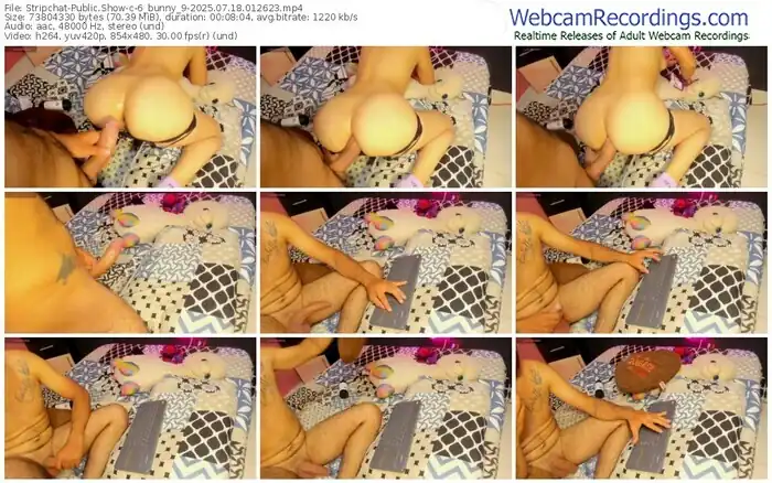 stripchat-6_bunny_9-07-18-2025-01-26-23