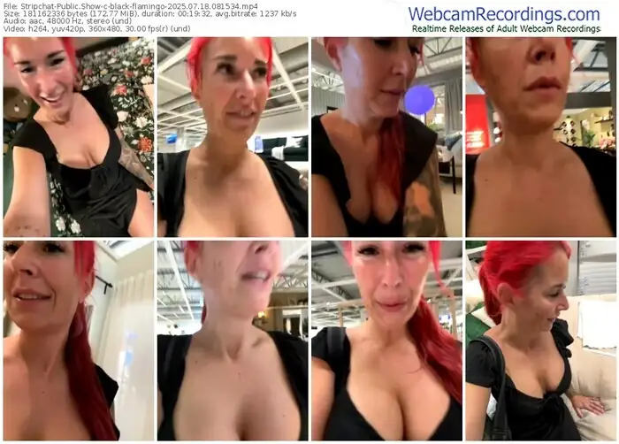 stripchat-black-flamingo-07-18-2025-08-15-34