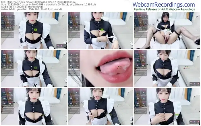 stripchat-808dass-07-19-2025-09-44-00