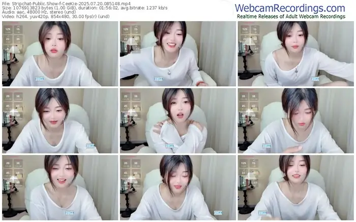stripchat-ceekie-07-20-2025-08-51-48