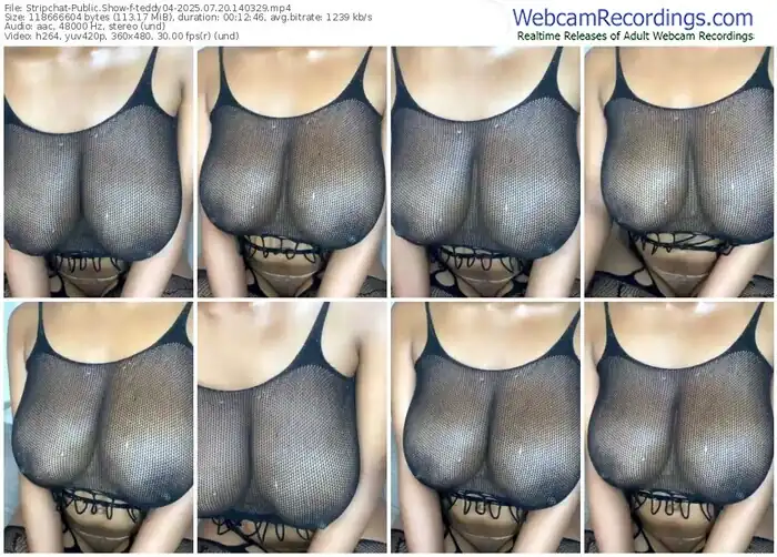 stripchat-teddy04-07-20-2025-14-03-29