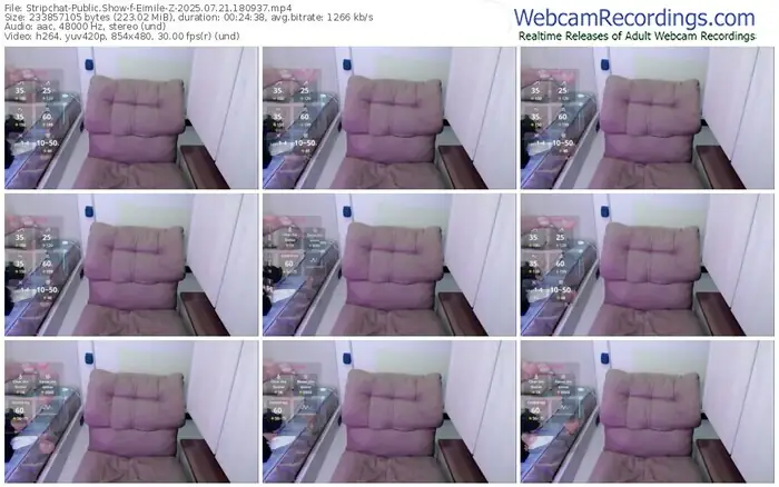 stripchat-eimile-z-07-21-2025-18-09-37