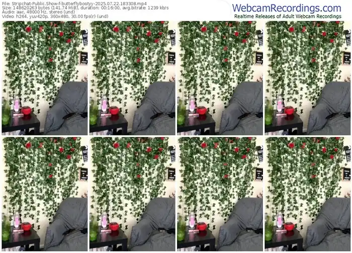 stripchat-butterflybootyy-07-22-2025-18-33-08