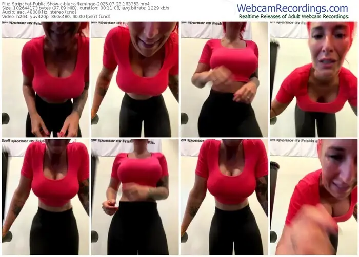 stripchat-black-flamingo-07-23-2025-18-33-53