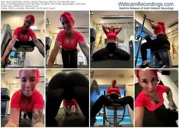 stripchat-black-flamingo-07-23-2025-18-54-20