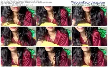 stripchat-wow-nisha-07-23-2025-21-39-53