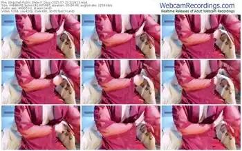 stripchat-_dau_-07-23-2025-21-24-13