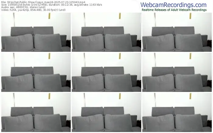 stripchat-sayo_mao18-07-23-2025-10-50-43
