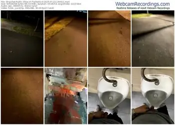 stripchat-foxfoxfox4-07-23-2025-14-00-11