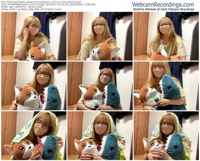 stripchat-discordance_-07-24-2025-14-45-29