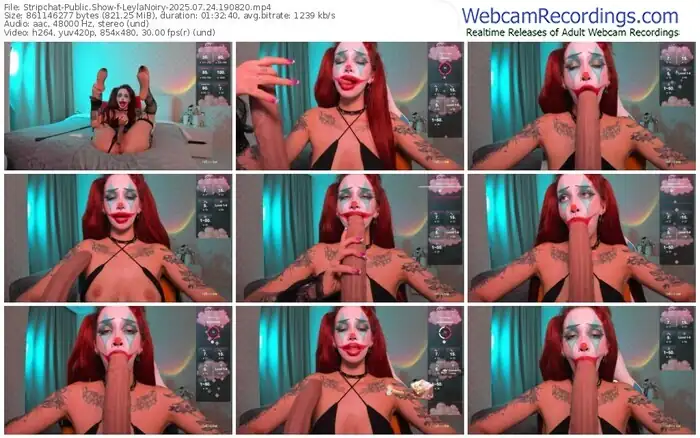 stripchat-leylanoiry-07-24-2025-19-08-20