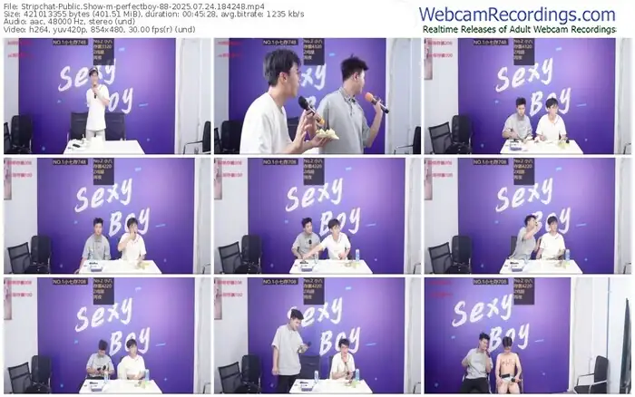 stripchat-perfectboy-88-07-24-2025-18-42-48