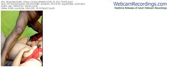 stripchat-disha_bhabhi-07-25-2025-17-54-05