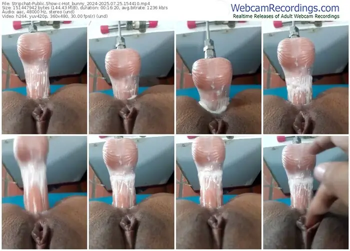 stripchat-hot_bunny_2024-07-25-2025-15-44-10